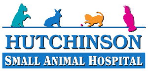 Hutchinson Small Animal Hospital