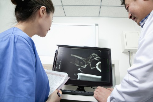 Advanced Digital X-rays  Hutchinson, KS