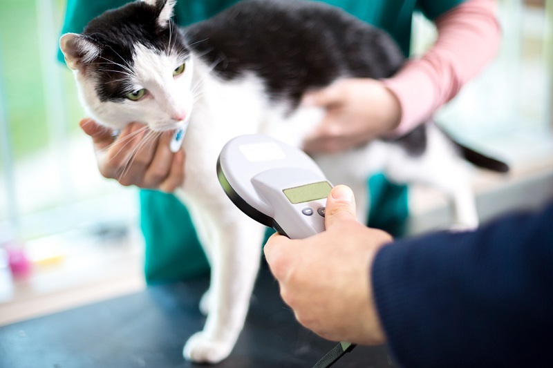 Microchipping  Hutchinson, KS