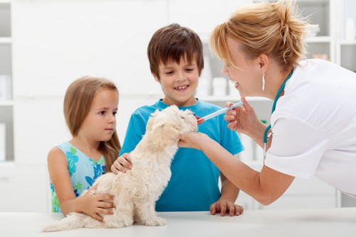 Vaccinations  Hutchinson, KS